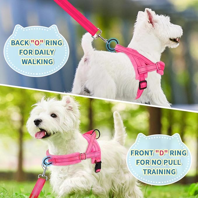 Lukovee No Pull Dog Harness and Leash Set, Soft Padded Small Dog Harness - Image 7