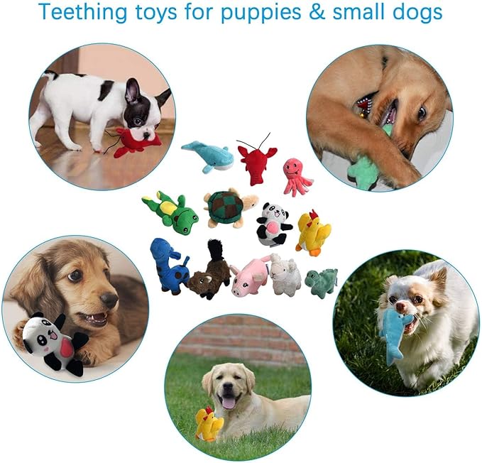 LEGEND SANDY Squeaky Plush Dog Toy Pack - Image 5