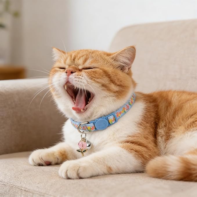 EXPAWLORER Flower Cat Collar Breakaway - Image 7