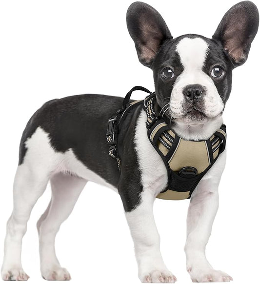 rabbitgoo Dog Harness No Pull by rabbitgoo