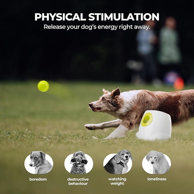 ALL FOR PAWS Automatic Dog Ball Launcher, Interactive Fetch Toy for Medium to - Image 3