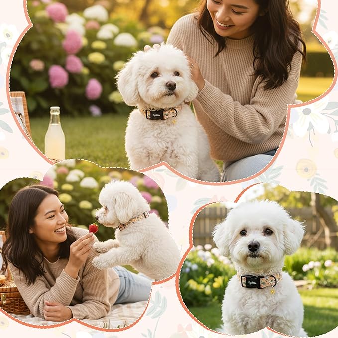 Dog Collar with Floral Patterns, Spring Summer Collection Orange Dog Collar - Image 5