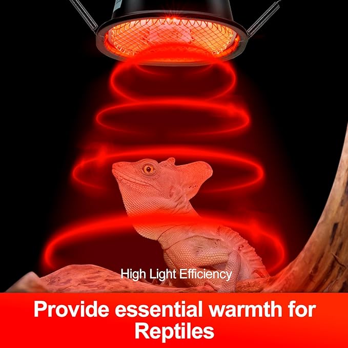 G9 Reptile Infrared Heat Lamp, Terrarium Heating Lamp Fixture - Image 3