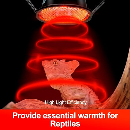 G9 Reptile Infrared Heat Lamp, Terrarium Heating Lamp Fixture - Image 3