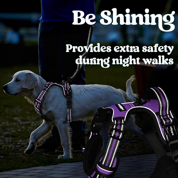 rabbitgoo Dog Harness Medium Sized, No Pull Easy On & Off - Image 9