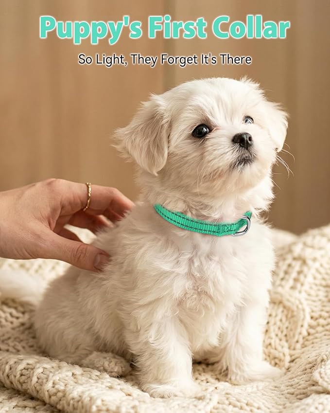 Joytale Puppy Collar, Feather-Light Double-Sided Reflective Nylon Collar - Image 2