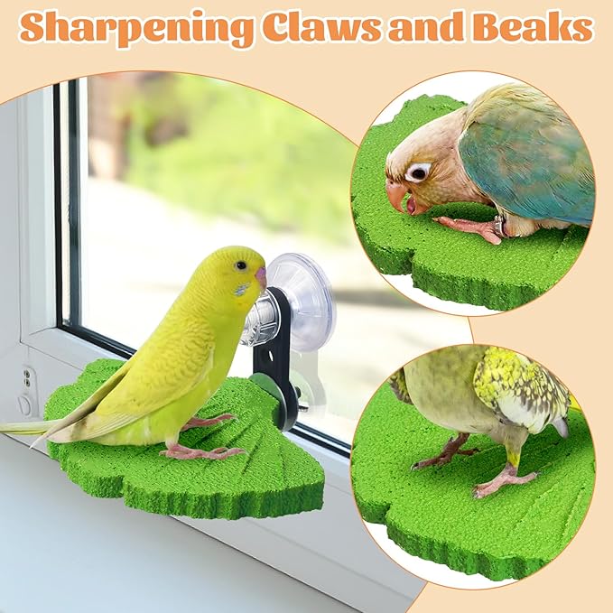 3PCS Bird Beak Grinding Stone - Image 5