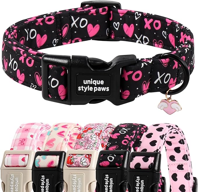 Unique Style Paws Valentine Dog Collar Plastic Buckle by Uniquestylepaws