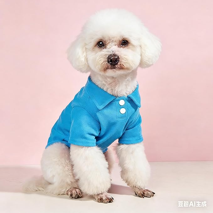 Custom Dog Shirt, Personalized Dog Clothes - Image 2