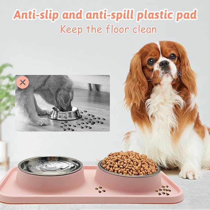 BNOSDM Double Dog Food Bowls Stainless Steel Dog Food and Water Bowls - Image 3
