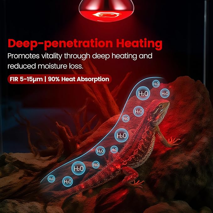REPTITRIP Dual Reptile Lamp Fixture - Image 7