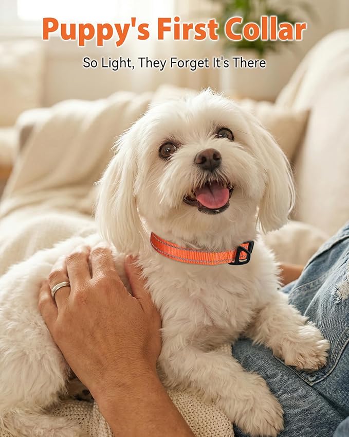 Joytale Small Dog Collar, Durable Double-Sided Reflective Nylon Collar - Image 2