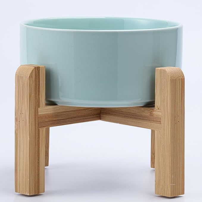 Petygooing Elevated/Raised Ceramic Dog Bowl by PetygooingforYOURLOVEDPET