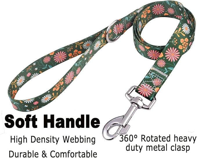 Mihqy Dog Collar and Leash Set - Image 4