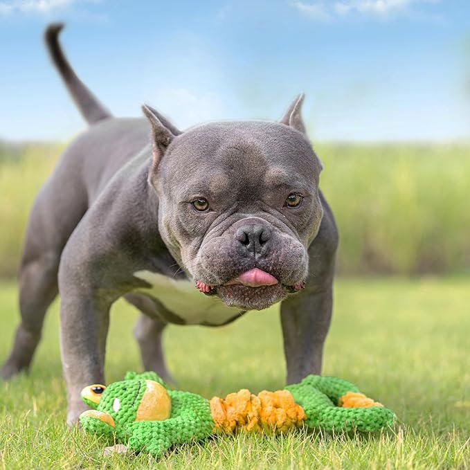 Sedioso Dog Tug Toy, Durable Dog Toys Large Breed, Tug of War Dog Squeaky Toy - Image 3