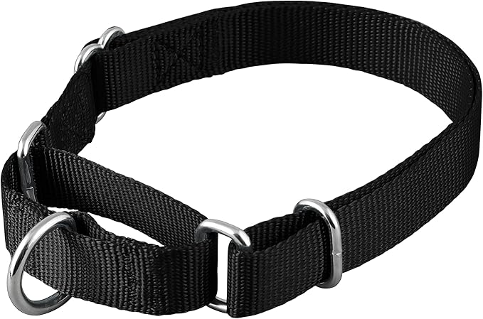 Native Pup Martingale Dog Collar, Adjustable by NativePup