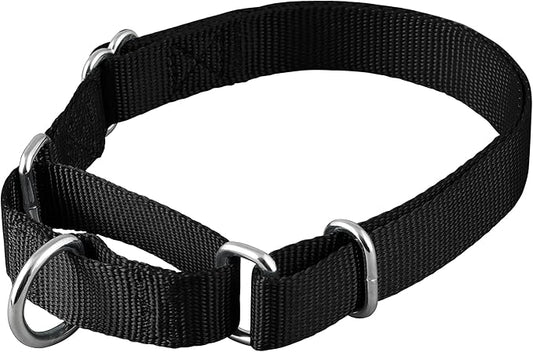 Native Pup Martingale Dog Collar, Adjustable by NativePup