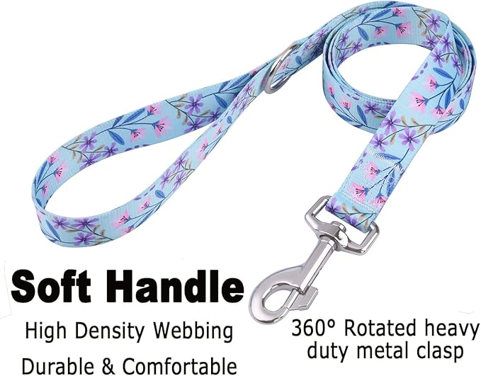 Mihqy Dog Collar and Leash Set - Image 4