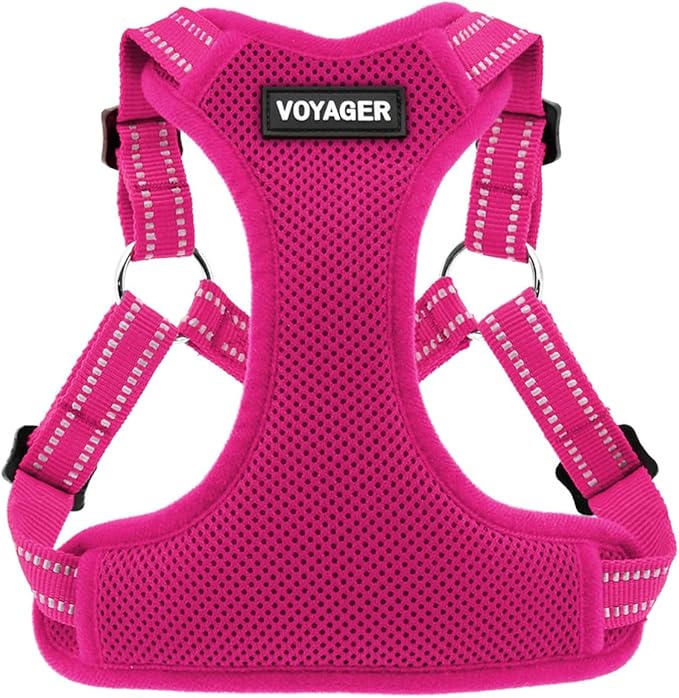 Best Pet Supplies Voyager Adjustable Step-In Flex Breathable Mesh Dog Harness by BestPetSuppliesLLC