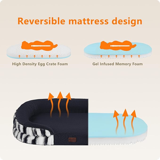 Dwanton Orthopedic Dog Bed for Medium Dogs - Image 3