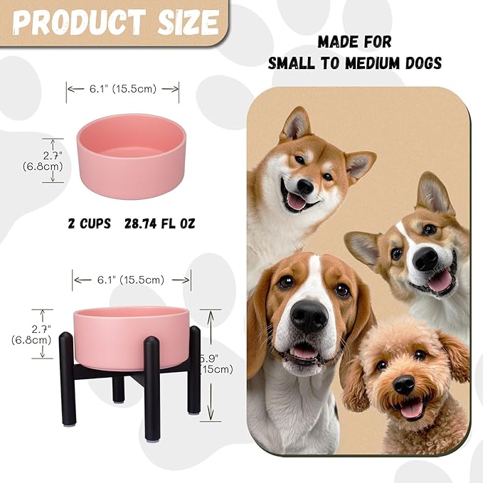Raised Ceramic Dog Bowl, 6.1'' Modern Feeding Bowl - Image 2