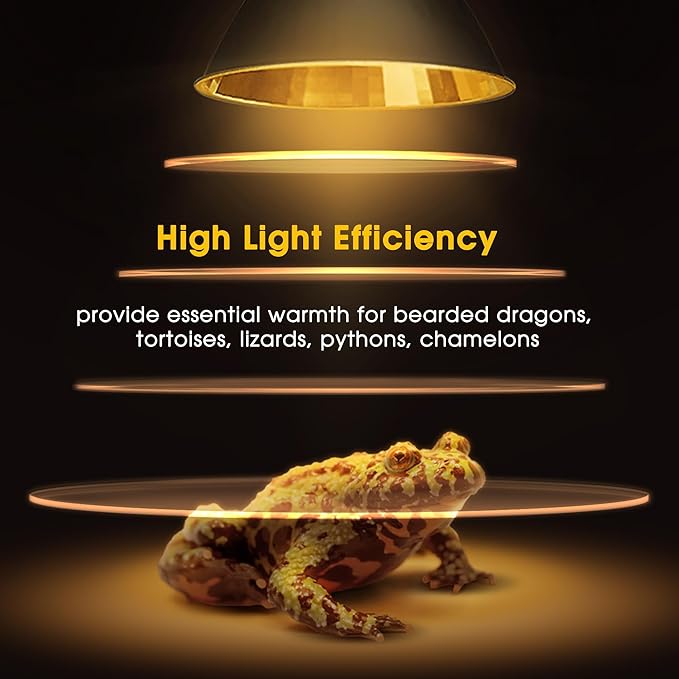 Briignite Reptile Heat Lamp 50W G9 Halogen Heat Bulb & Dome Reptile Light - Image 6