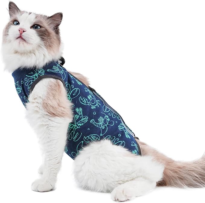 kzrfojy Cat Surgery Recovery Suit Cat Onesie by kzrfojy