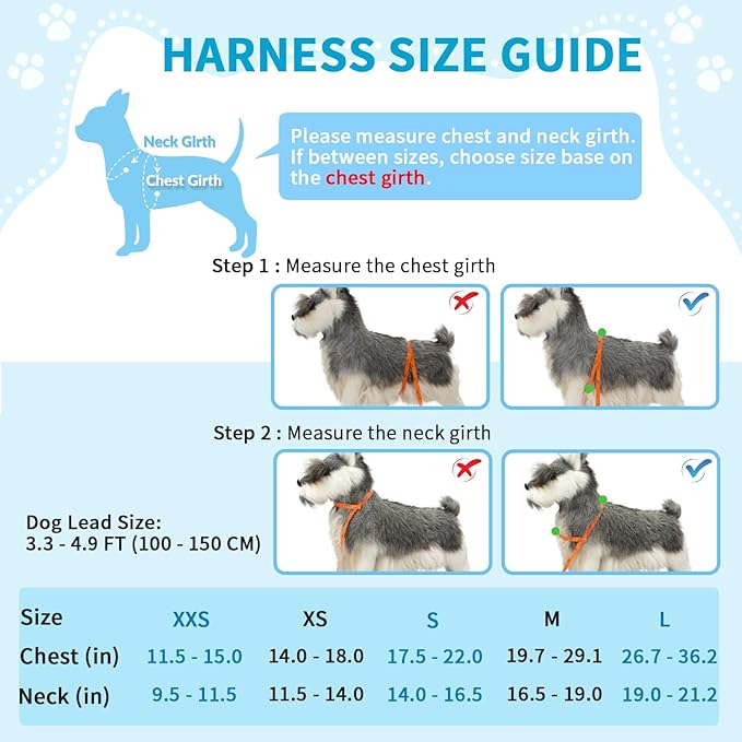 Lukovee No Pull Dog Harness and Leash Set, Soft Padded Small Dog Harness - Image 4