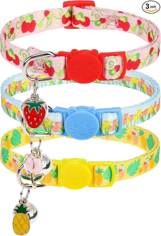 EXPAWLORER Flower Cat Collar Breakaway by EXPAWLORER