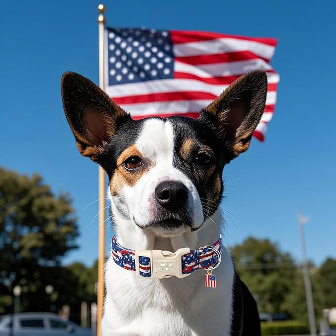 Unique style paws Dog Collar Plastic Buckle - Image 4