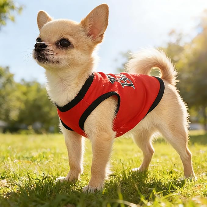4 Pieces Dog Clothes for Small Dogs Girl Boy Summer Puppy Clothes for Chihuahua - Image 2