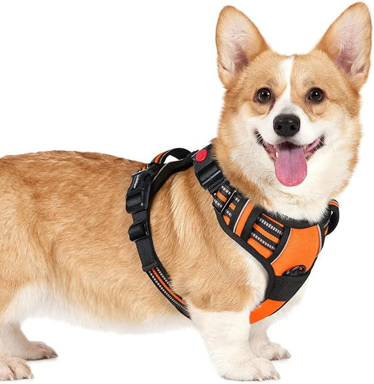 rabbitgoo Dog Harness Small Sized, No Pull Easy On & Off by rabbitgoo