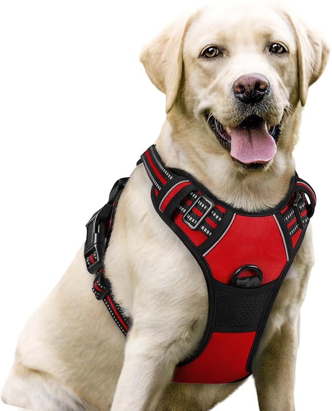 rabbitgoo Dog Harness, No-Pull Pet Harness by rabbitgoo