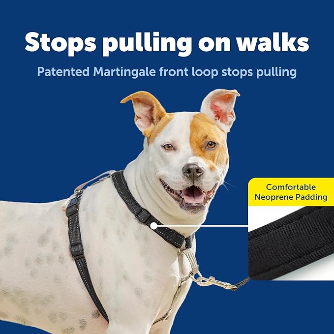 PetSafe 3 in 1 No-Pull Dog Harness - Image 3