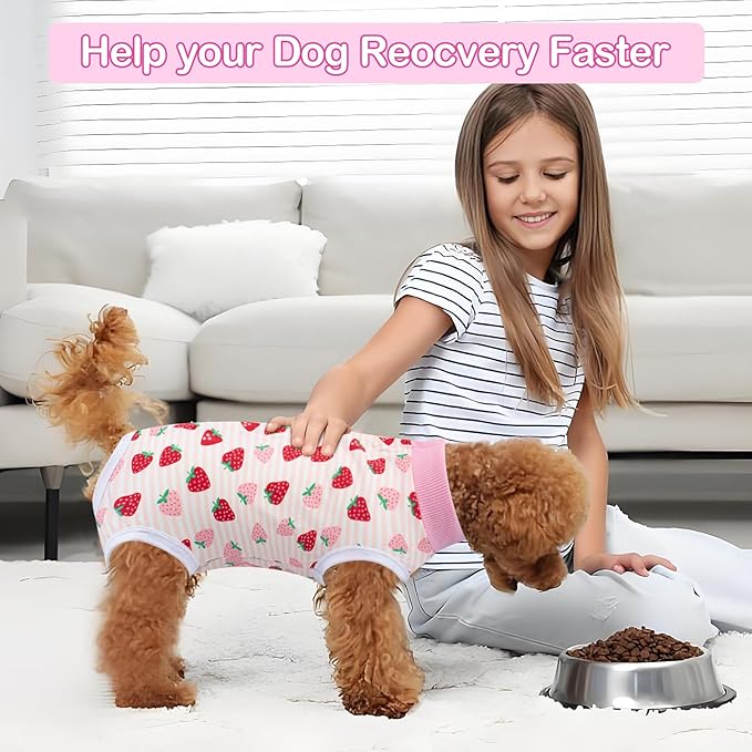 Coppthinktu Recovery Suit for Dogs After Surgery, Dog Onesie Surgery Recovery - Image 2