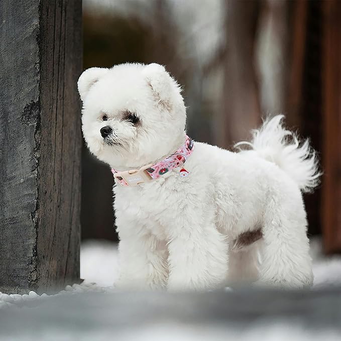 Christmas Dog Collar - Image 6