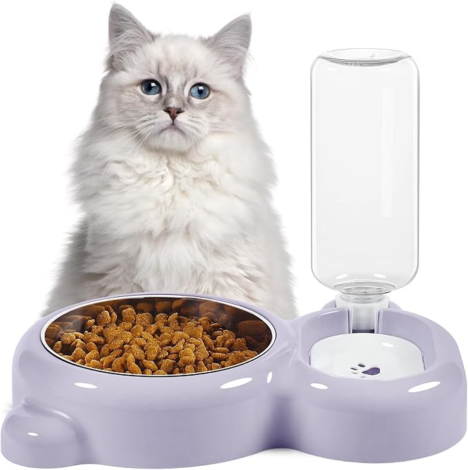 Double Dog Cat Bowls, Cat Food and Water Bowl Set - Image 7