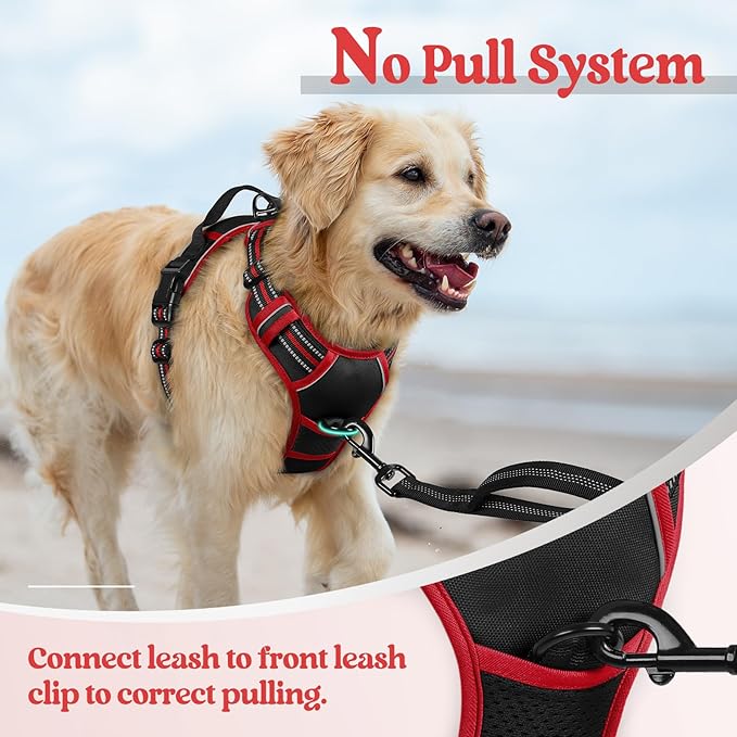 rabbitgoo Dog Harness No Pull - Image 5