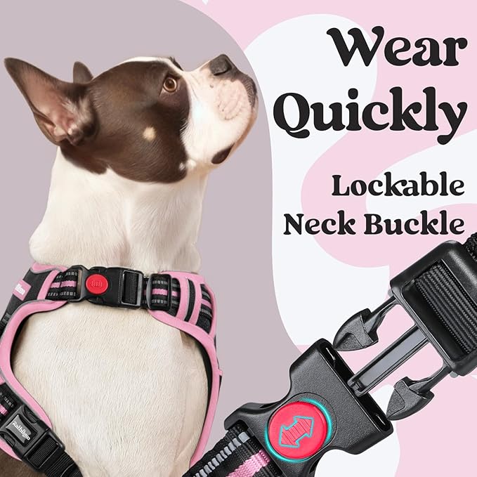 rabbitgoo Dog Harness for Large, No Pull Easy On & Off - Image 2