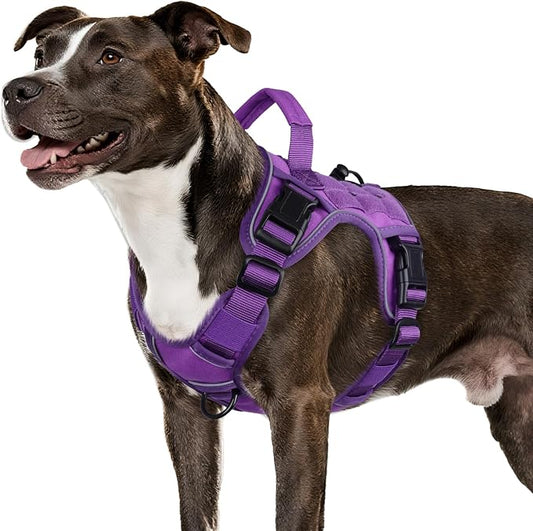 WINGOIN Purple Tactical Dog Harness by WINGOIN
