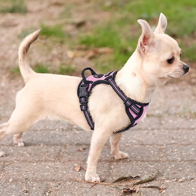 rabbitgoo Dog Harness No Pull - Image 8