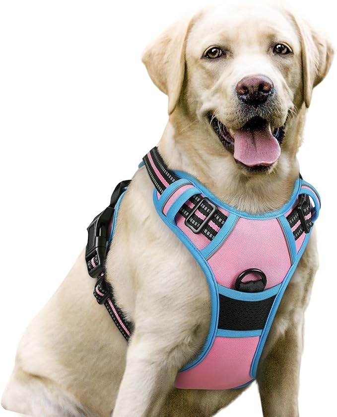 rabbitgoo Dog Harness No Pull by rabbitgoo