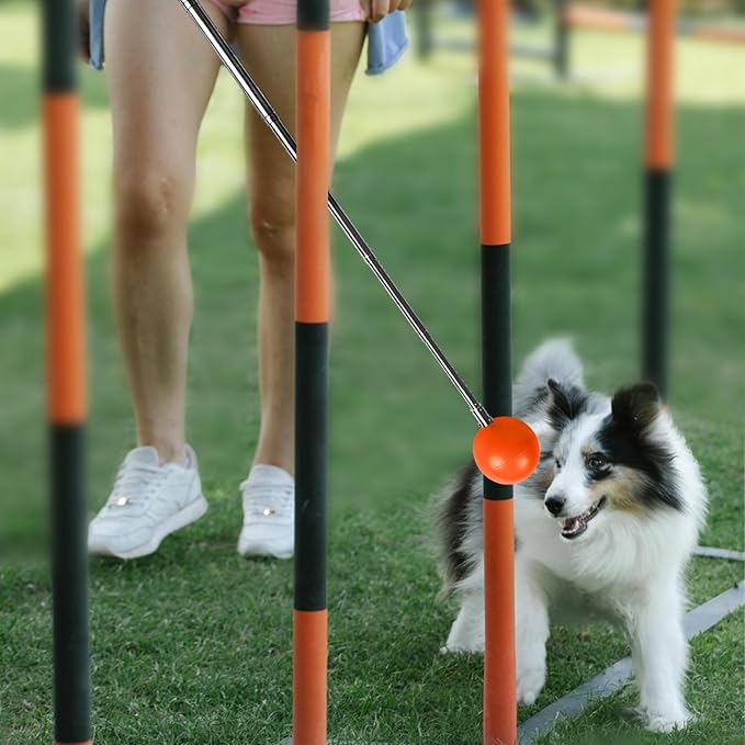 Training Kit - 1 Target Stick, 1 Training Clicker, 1 Whistle - Dog Training - Image 5