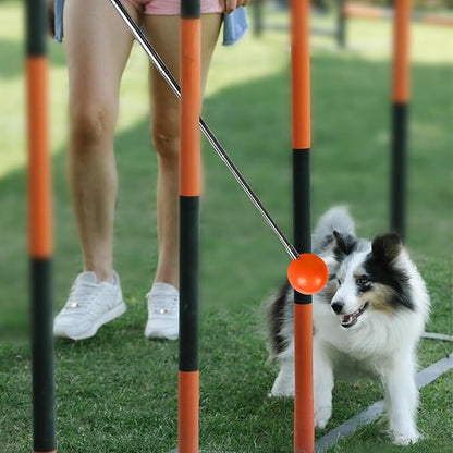 Training Kit - 1 Target Stick, 1 Training Clicker, 1 Whistle - Dog Training - Image 5