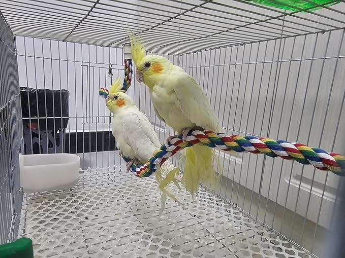 Bendable Fun Climbing Bird Cotton Rope Perch, Colorful Bungee Toy - Image 5