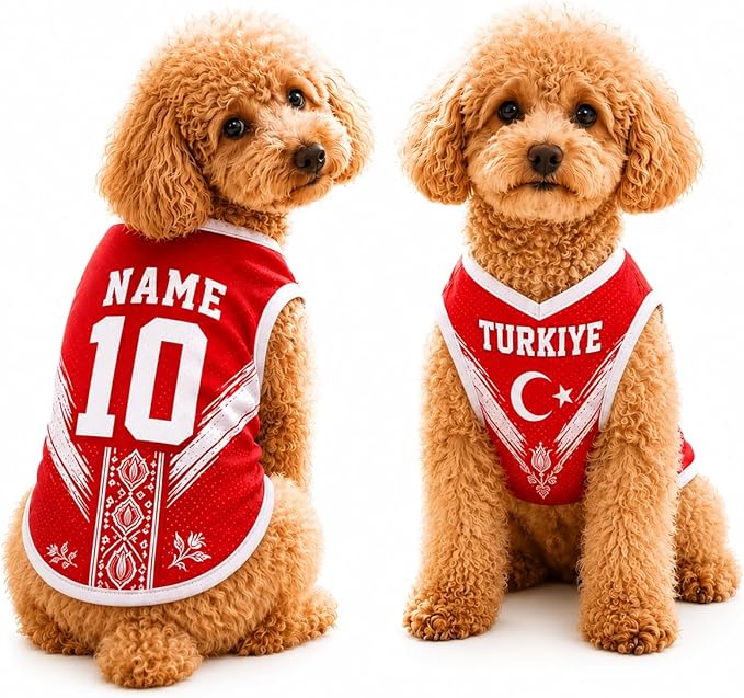 V-DECORPARKS Personalized Pet Soccer Jersey Custom Name Number Dog Cat Football by V-Decorparks