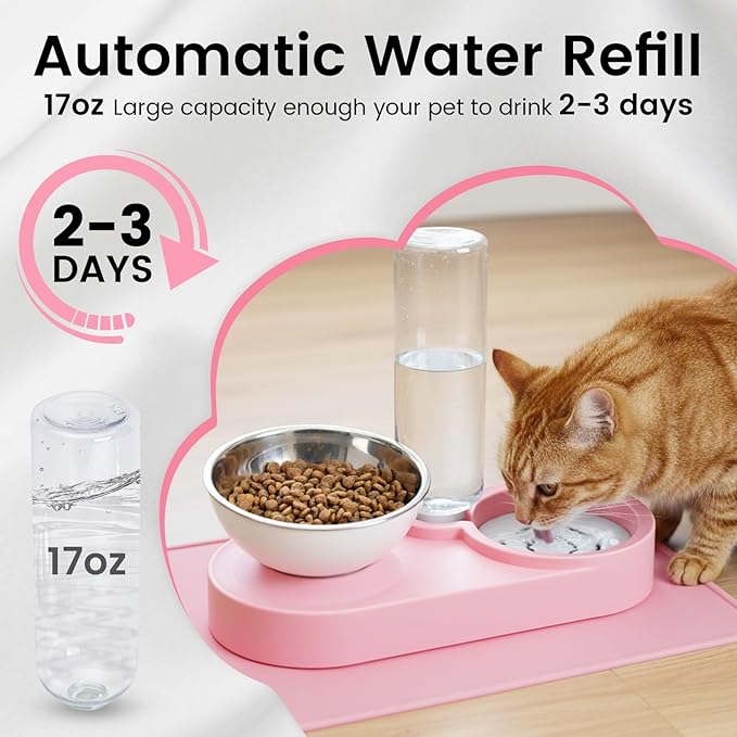 Double Elevated Dog Cat Food Water Bowls, Stainless Steel Cat Food Water Bowl - Image 5