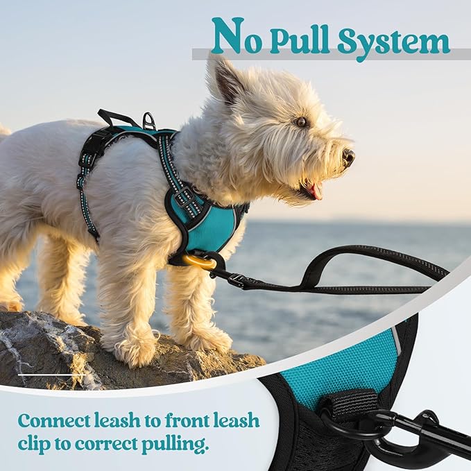 rabbitgoo Dog Harness No Pull - Image 5