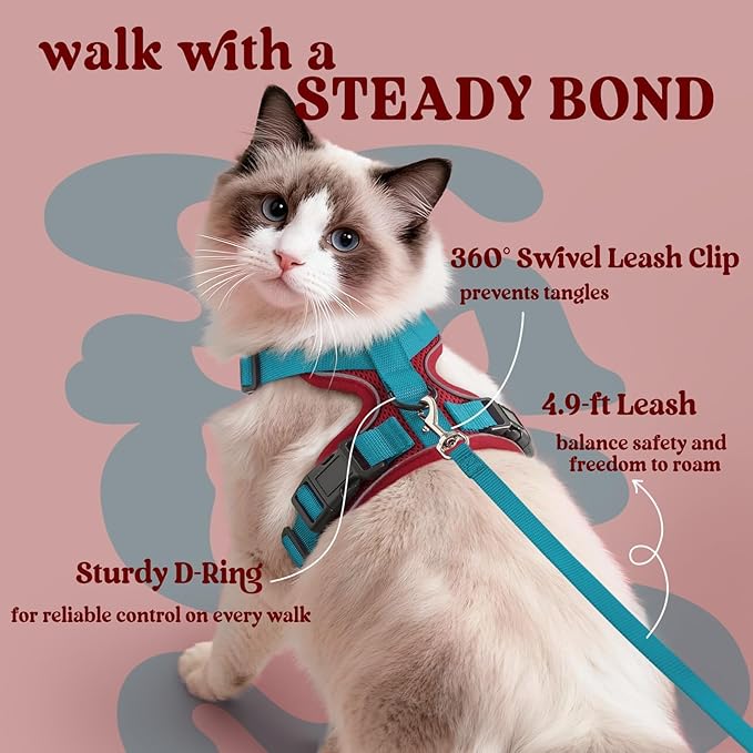 rabbitgoo Cat Harness and Leash Set, Escape Proof Vest Harness - Image 5
