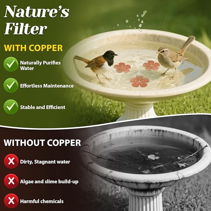 3Pcs Bird Bath Copper Purification Disk 99.99% Pure Copper Water Cleaning Discs - Image 4